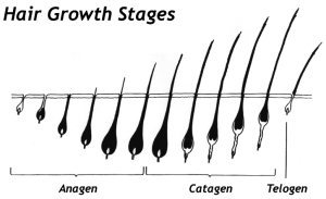 Treatment of Hair Loss in San Antonio